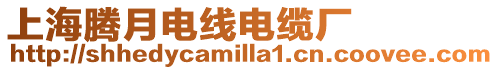 上海騰月電線電纜廠