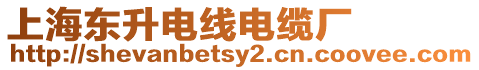 上海東升電線電纜廠