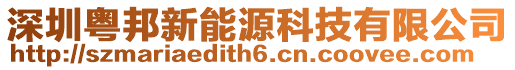 深圳粵邦新能源科技有限公司