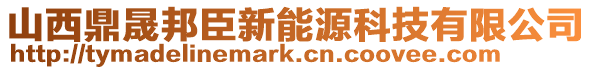 山西鼎晟邦臣新能源科技有限公司