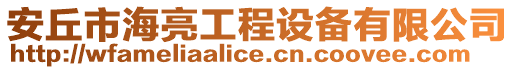 安丘市海亮工程設備有限公司
