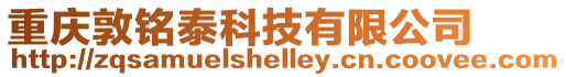 重慶敦銘泰科技有限公司