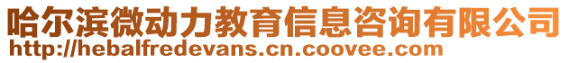 哈爾濱微動力教育信息咨詢有限公司