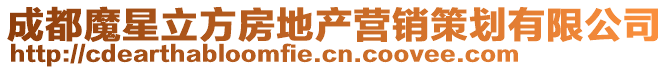 成都魔星立方房地產(chǎn)營(yíng)銷策劃有限公司