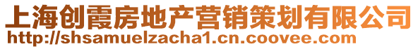 上海創(chuàng)霞房地產(chǎn)營銷策劃有限公司