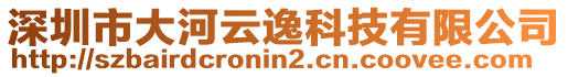 深圳市大河云逸科技有限公司