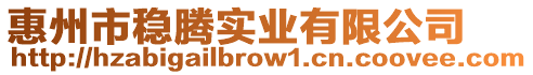 惠州市穩(wěn)騰實業(yè)有限公司