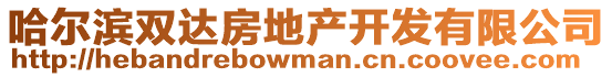 哈爾濱雙達房地產開發有限公司