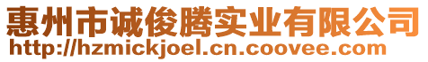 惠州市誠俊騰實業有限公司