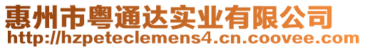 惠州市粵通達(dá)實(shí)業(yè)有限公司