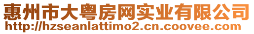 惠州市大粵房網實業有限公司