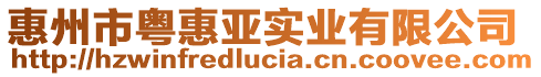 惠州市粵惠亞實(shí)業(yè)有限公司