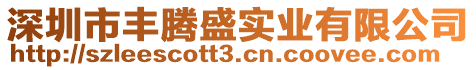 深圳市豐騰盛實(shí)業(yè)有限公司