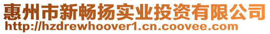 惠州市新暢揚實業投資有限公司