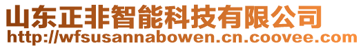 山東正非智能科技有限公司