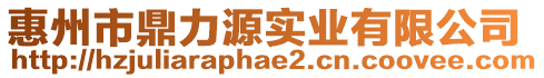 惠州市鼎力源實(shí)業(yè)有限公司