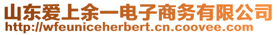 山東愛上余一電子商務(wù)有限公司