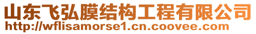 山東飛弘膜結(jié)構(gòu)工程有限公司