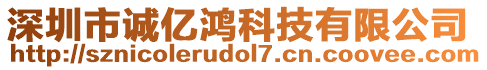 深圳市誠億鴻科技有限公司