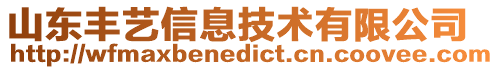 山東豐藝信息技術(shù)有限公司