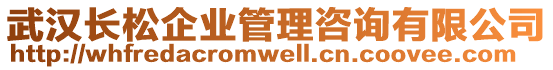 武漢長松企業(yè)管理咨詢有限公司