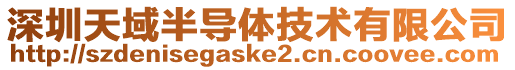 深圳天域半導體技術有限公司