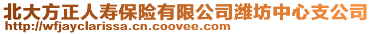 北大方正人壽保險有限公司濰坊中心支公司