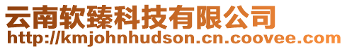 云南軟臻科技有限公司
