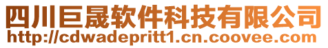 四川巨晟軟件科技有限公司