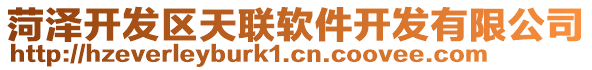 菏澤開發(fā)區(qū)天聯(lián)軟件開發(fā)有限公司