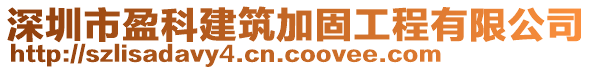 深圳市盈科建筑加固工程有限公司