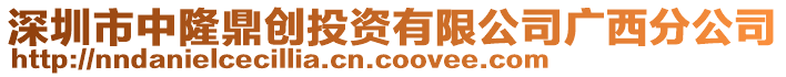 深圳市中隆鼎創(chuàng)投資有限公司廣西分公司