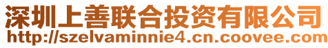 深圳上善聯合投資有限公司