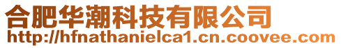 合肥華潮科技有限公司