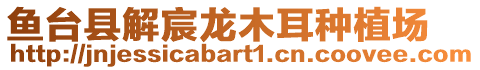 魚臺縣解宸龍木耳種植場