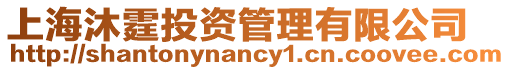 上海沐霆投資管理有限公司