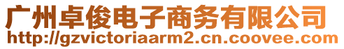 廣州卓俊電子商務有限公司