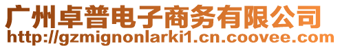 廣州卓普電子商務(wù)有限公司