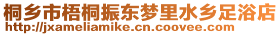 桐鄉市梧桐振東夢里水鄉足浴店