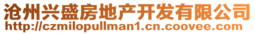 滄州興盛房地產開發有限公司