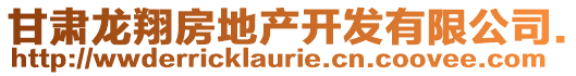 甘肅龍翔房地產(chǎn)開(kāi)發(fā)有限公司.