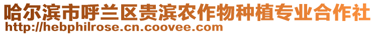哈爾濱市呼蘭區(qū)貴濱農(nóng)作物種植專業(yè)合作社