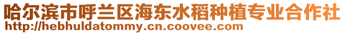 哈爾濱市呼蘭區海東水稻種植專業合作社