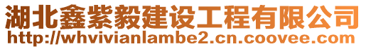 湖北鑫紫毅建設工程有限公司