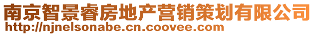 南京智景睿房地產(chǎn)營銷策劃有限公司