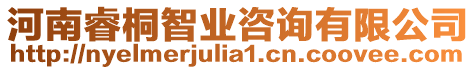 河南睿桐智業(yè)咨詢有限公司