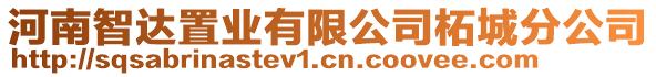 河南智達(dá)置業(yè)有限公司柘城分公司