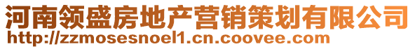 河南領(lǐng)盛房地產(chǎn)營(yíng)銷策劃有限公司