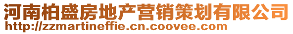 河南柏盛房地產(chǎn)營銷策劃有限公司