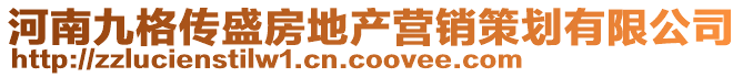 河南九格傳盛房地產(chǎn)營(yíng)銷策劃有限公司